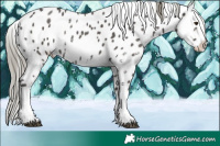 Horse Color:Liver Chestnut Mushroom Sabino Near Leopard 