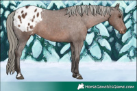 Horse Color:Liver Chestnut Mushroom Varnish 