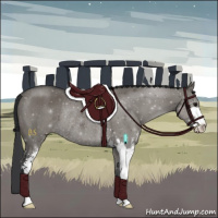 Horse Color:Grullo Sabino Rabicano 