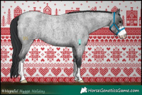 Horse Color:Blue Roan Sabino 