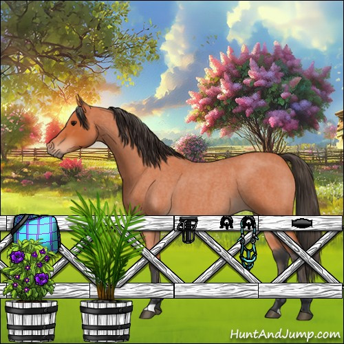 Horse Color:Bay Roan 