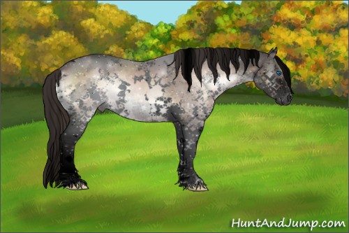 Horse Color:Void White Spotted Liver Red Onyx Sabino Splash 