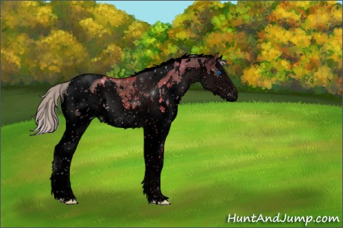 Horse Color:Void White Spotted Silver Brown Dun Splash Tobiano Rabicano 