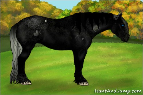 Horse Color:Void Watercolor White Spotted Silver Black Ice Splash Tobiano 