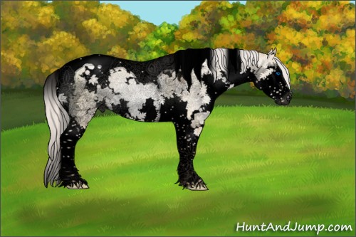 Horse Color:Void White Spotted Silver Buckskin Pearl Dun Splash Tobiano 