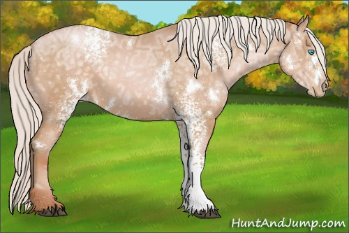 Horse Color:White Spotted Silver Buckskin Ice Pearl Rabicano 