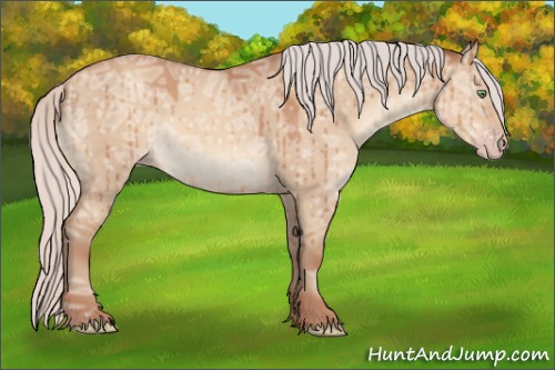 Horse Color:Silver Sable Champagne Ice Dun Sabino Rabicano Brindle 