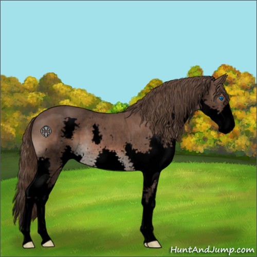 Horse Color:Void Liver Chestnut Sabino Splash 