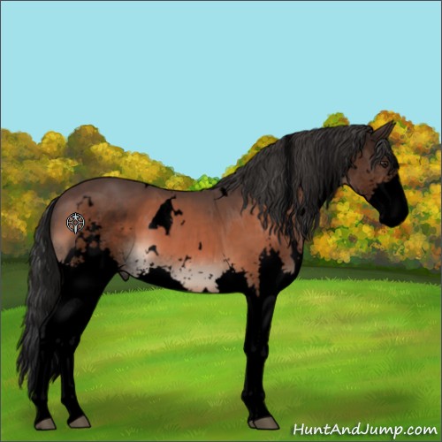 Horse Color:Void White Spotted Brown Sabino Splash 