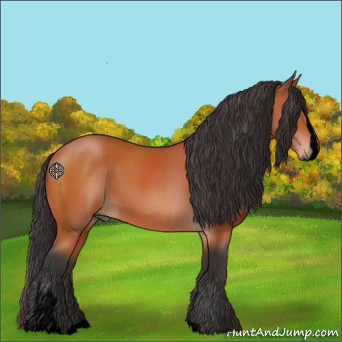 Horse Color:Void Brown Sabino 