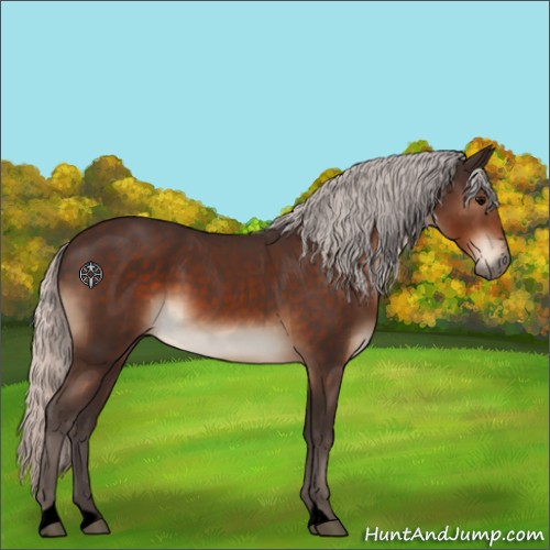 Horse Color:Void Silver Brown Sabino 