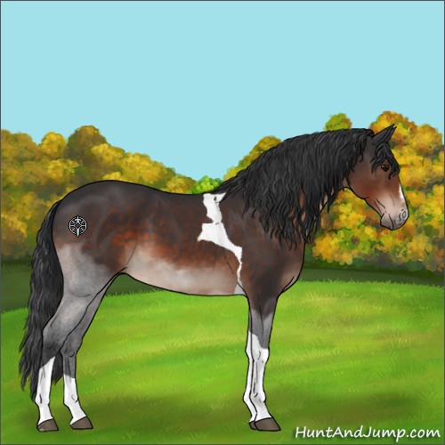 Horse Color:Brown Sabino Tobiano 