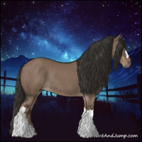 Horse Color:Liver Red Dun Rabicano 