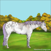 Horse Color:Platinum Painted Silver Bay Ice Roan Onyx Splash Tobiano Appaloosa 