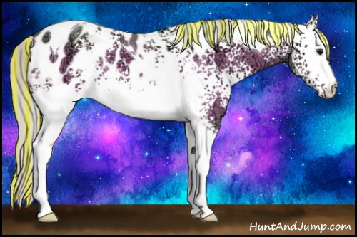 Horse Color:Painted Watercolor White Spotted Silver Bay Ice Tobiano Appaloosa 