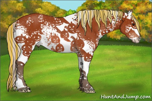Horse Color:Painted White Spotted Silver Bay Rabicano 