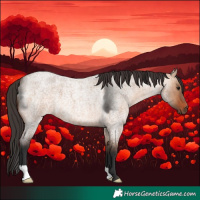 Horse Color:Bay Roan Dun 
