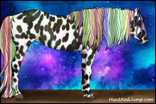 Horse Color:Painted Midnight Silver Brown Dun Sabino Appaloosa Rabicano