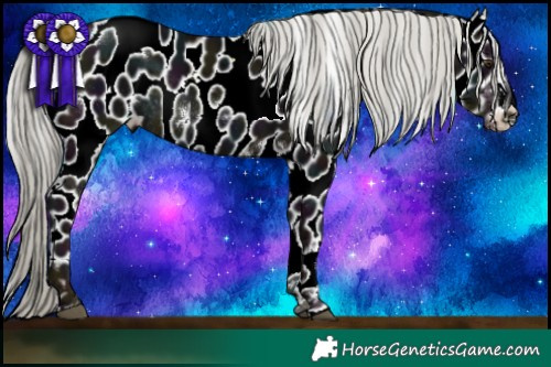 Horse Color:White Spotted Midnight Liver Chestnut Ice Mushroom Sabino Near Leopard Rabicano 