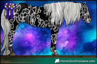 Horse Color:White Spotted Midnight Liver Chestnut Ice Mushroom Sabino Near Leopard Rabicano