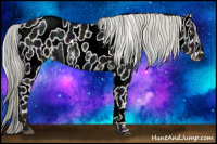 Horse Color:White Spotted Midnight Liver Chestnut Ice Mushroom Sabino Appaloosa Rabicano 