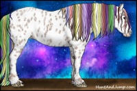 Horse Color:Painted White Spotted Classic Champagne Ice Appaloosa 
