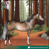 Horse Color:Gray Bay Dun Tobiano 