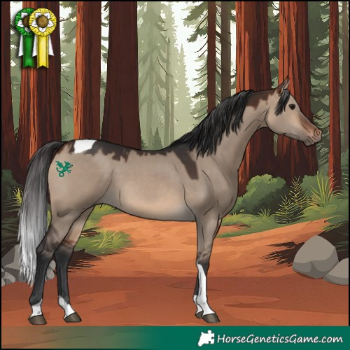 Horse Color:Brown Dun Tobiano 
