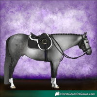 Horse Color:Gray Smoky Black 