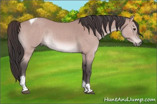 Horse Color:Platinum Buckskin Tobiano Rabicano 