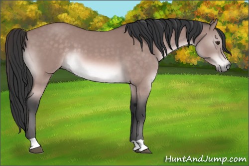Horse Color:Platinum Bay Mushroom 