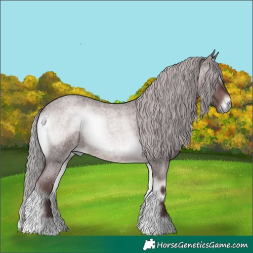 Horse Color:Platinum Chocolate Silver Brown Roan Onyx 