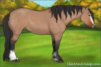 Horse Color:Brown Roan Dun Sabino