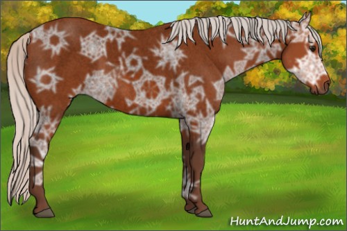 Horse Color:Void Silver Bay Ice Roan 