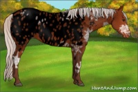 Horse Color:Void Silver Bay Ice Roan Near Leopard 