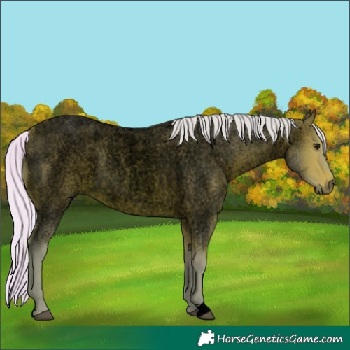 Horse Color:Void Watercolor Silver Bay Roan