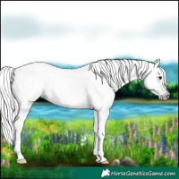 Horse Color:Gray Bay Near Leopard