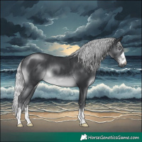 Horse Color:Silver Black Chinchilla Mushroom