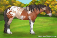 Horse Color:Amber Champagne Sabino Tobiano Frame Appaloosa  and Bay Sabino Tobiano Frame Appaloosa 