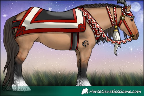 Horse Color:Bay Dun