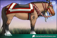 Horse Color:Bay Dun