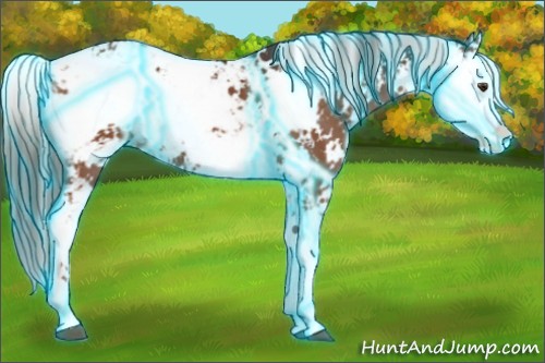 Horse Color:Thunderstruck Liver Chestnut Sabino Varnish