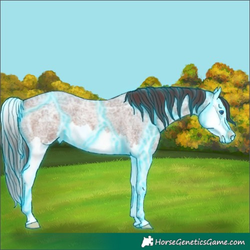 Horse Color:Thunderstruck Chocolate Brown Ice Roan Splash 