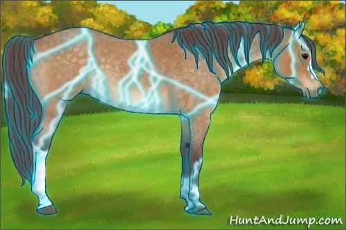 Horse Color:Thunderstruck Chocolate Buckskin Roan