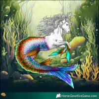 Horse Color:Silver Buckskin Chinchilla Dun Tobiano Appaloosa 