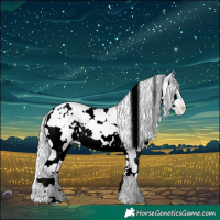 Horse Color:Silver Buckskin Chinchilla Pearl Splash Tobiano 