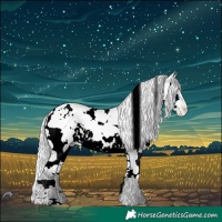 Horse Color:Silver Buckskin Chinchilla Snowdrop Splash Tobiano 