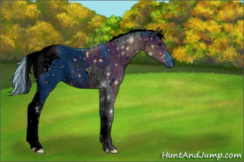 Horse Color:ERROR: UNKNOWN ANOMALY