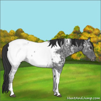 Horse Color:Black Ice Tobiano Snowcap 