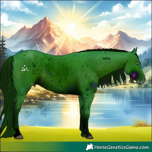 Horse Color:ERROR: UNKNOWN ANOMALY